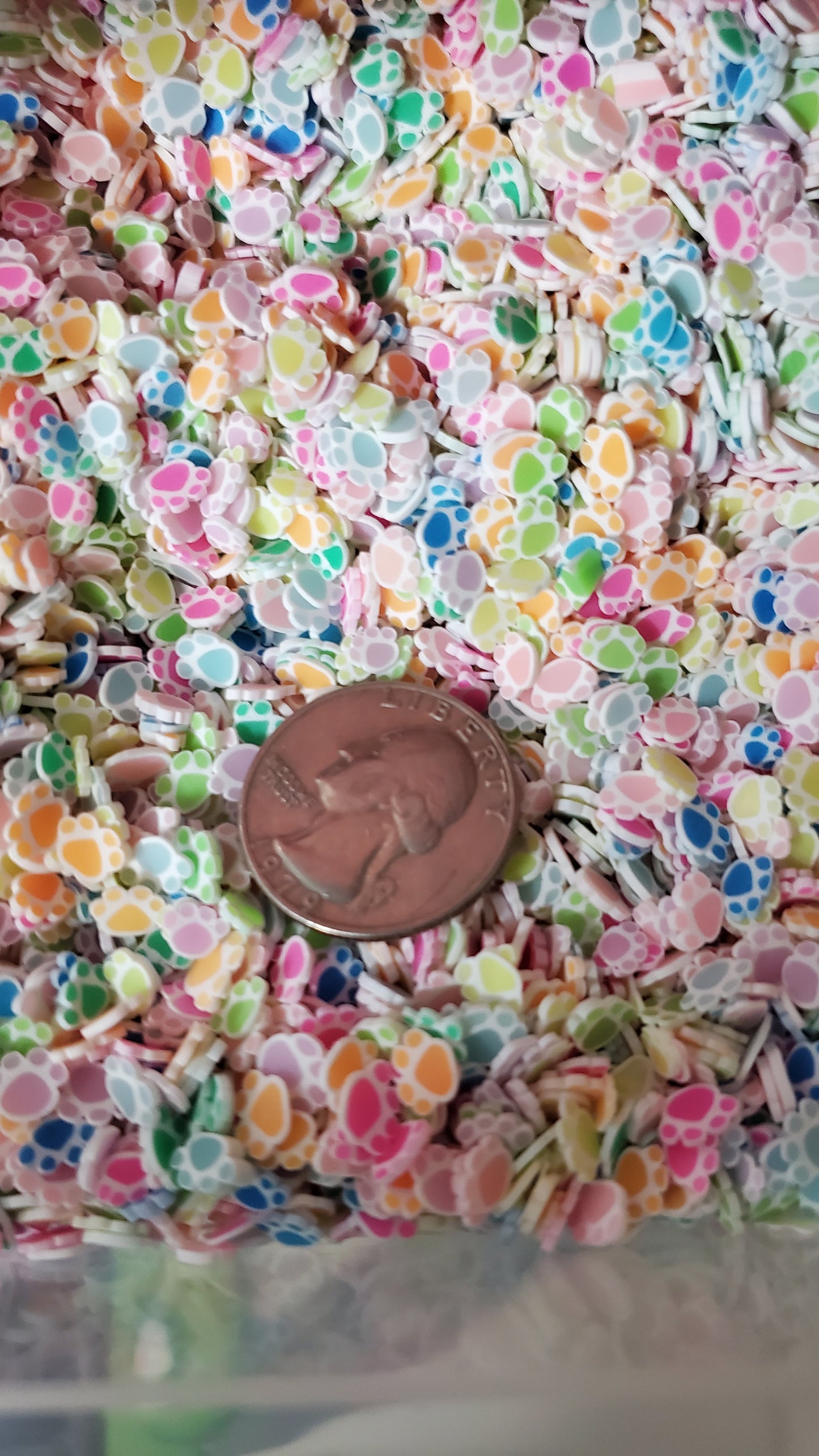 Colorful Paw Print Clay Slices