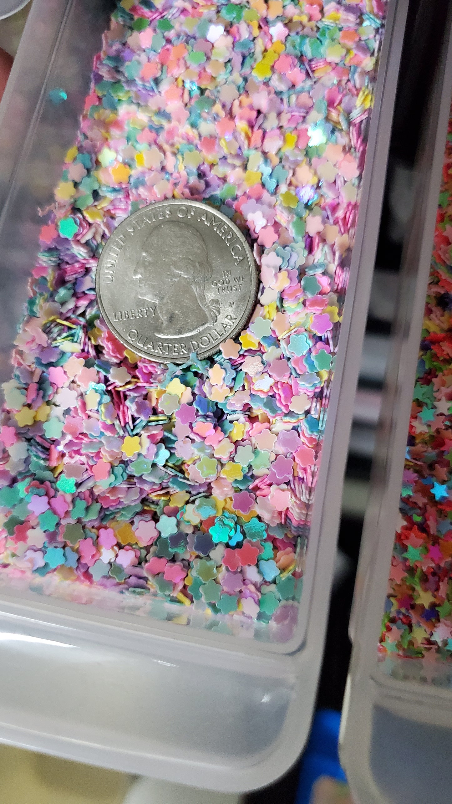 Inclusions Flower Sequins (2 Options)