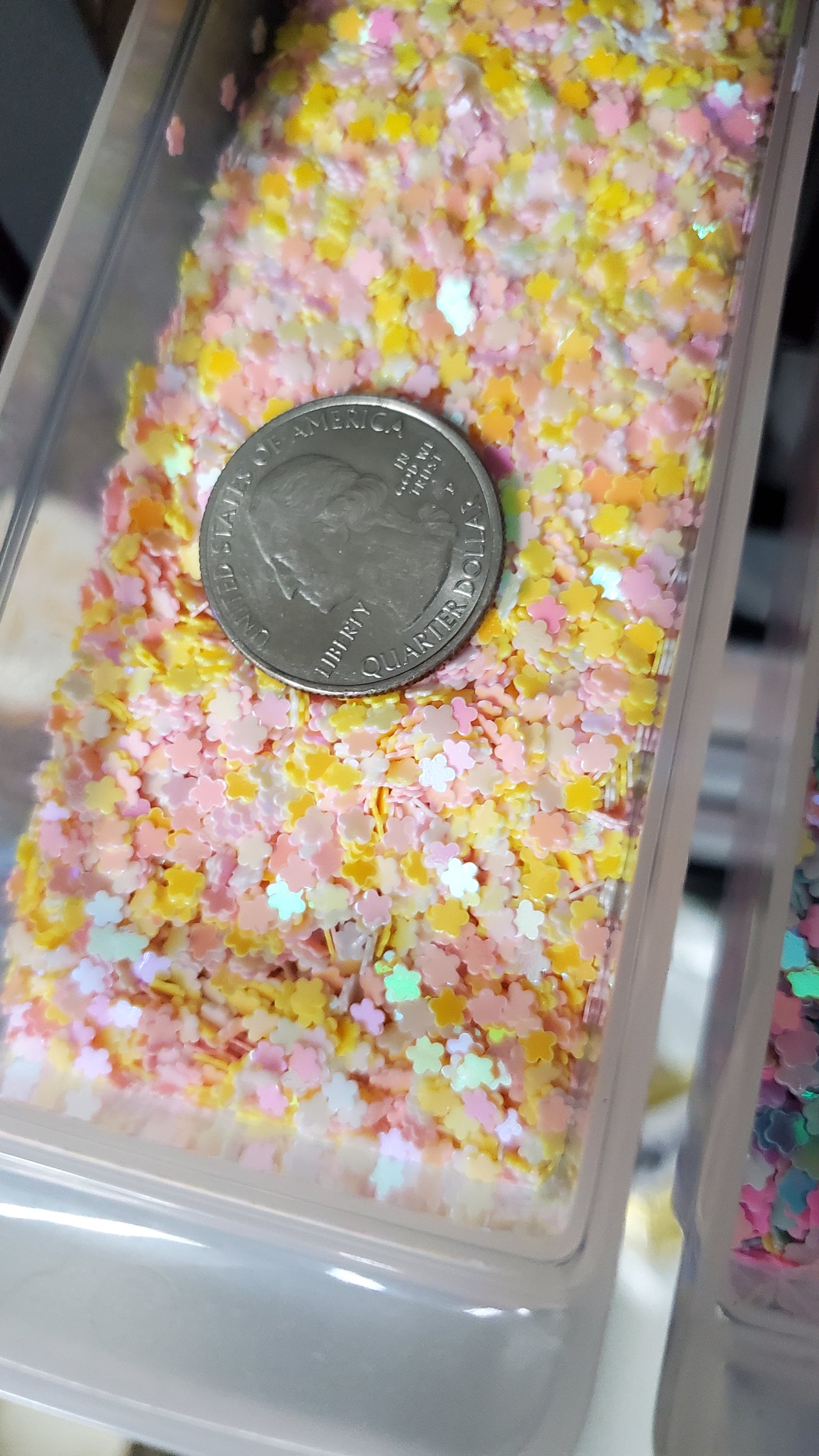 Inclusions Flower Sequins (2 Options)