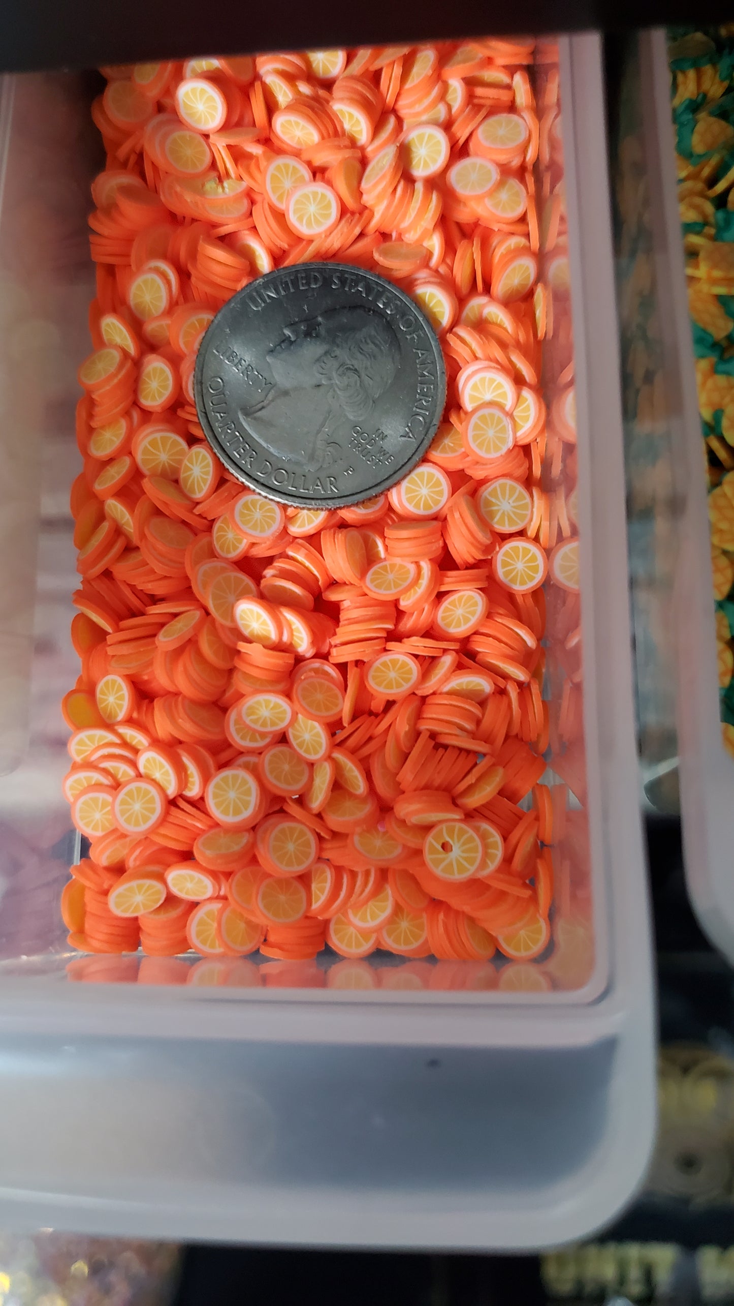 Fruit Clay Slices