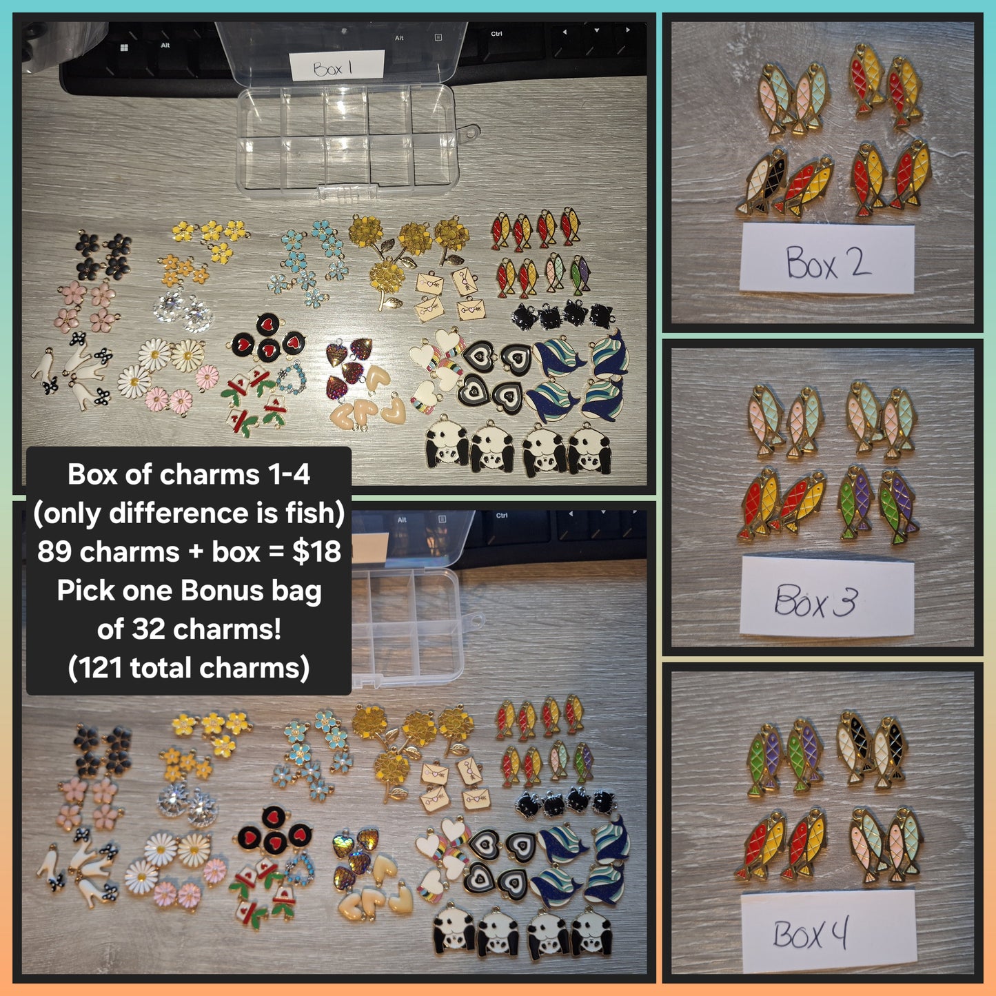 Box of Random Charms (4 Options)