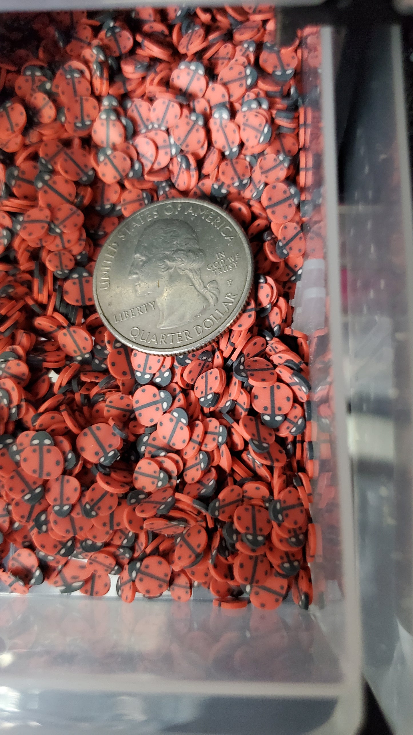 Insect Clay Slices