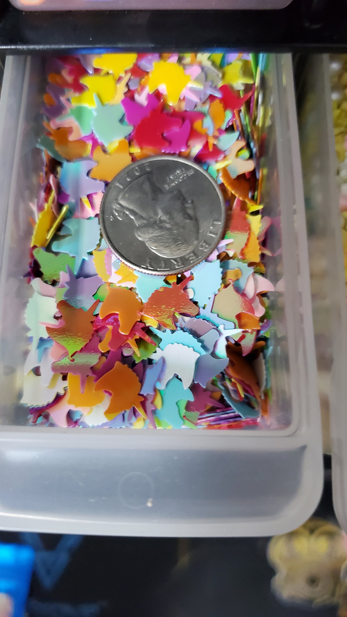 Inclusions Sequins (4 Options)