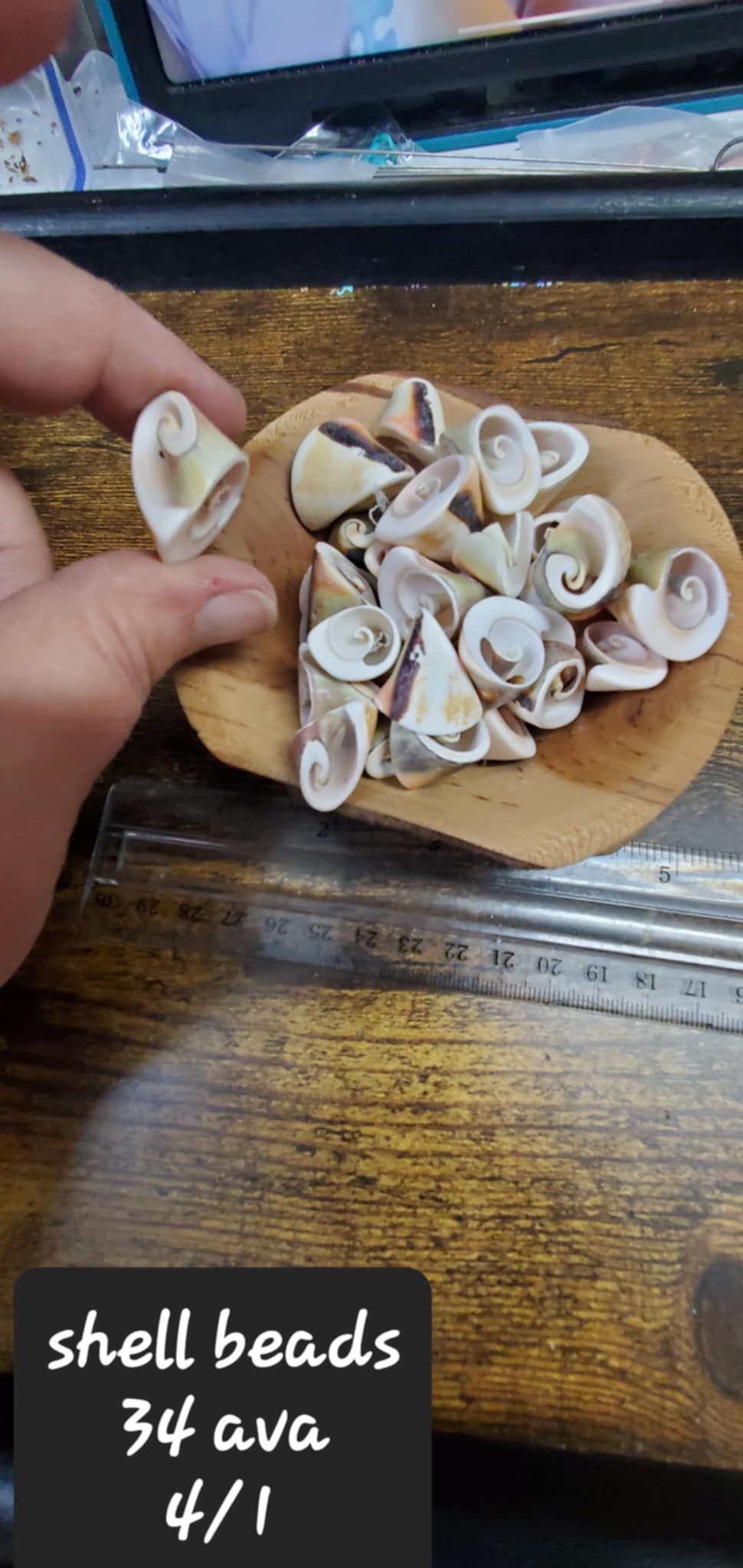 Shell Beads