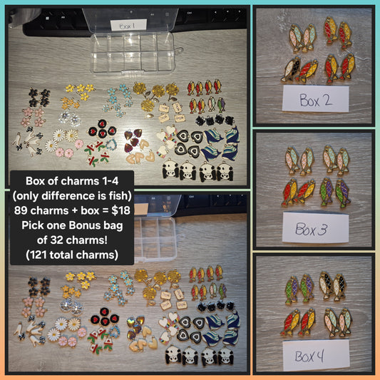 Box of Random Charms (4 Options)
