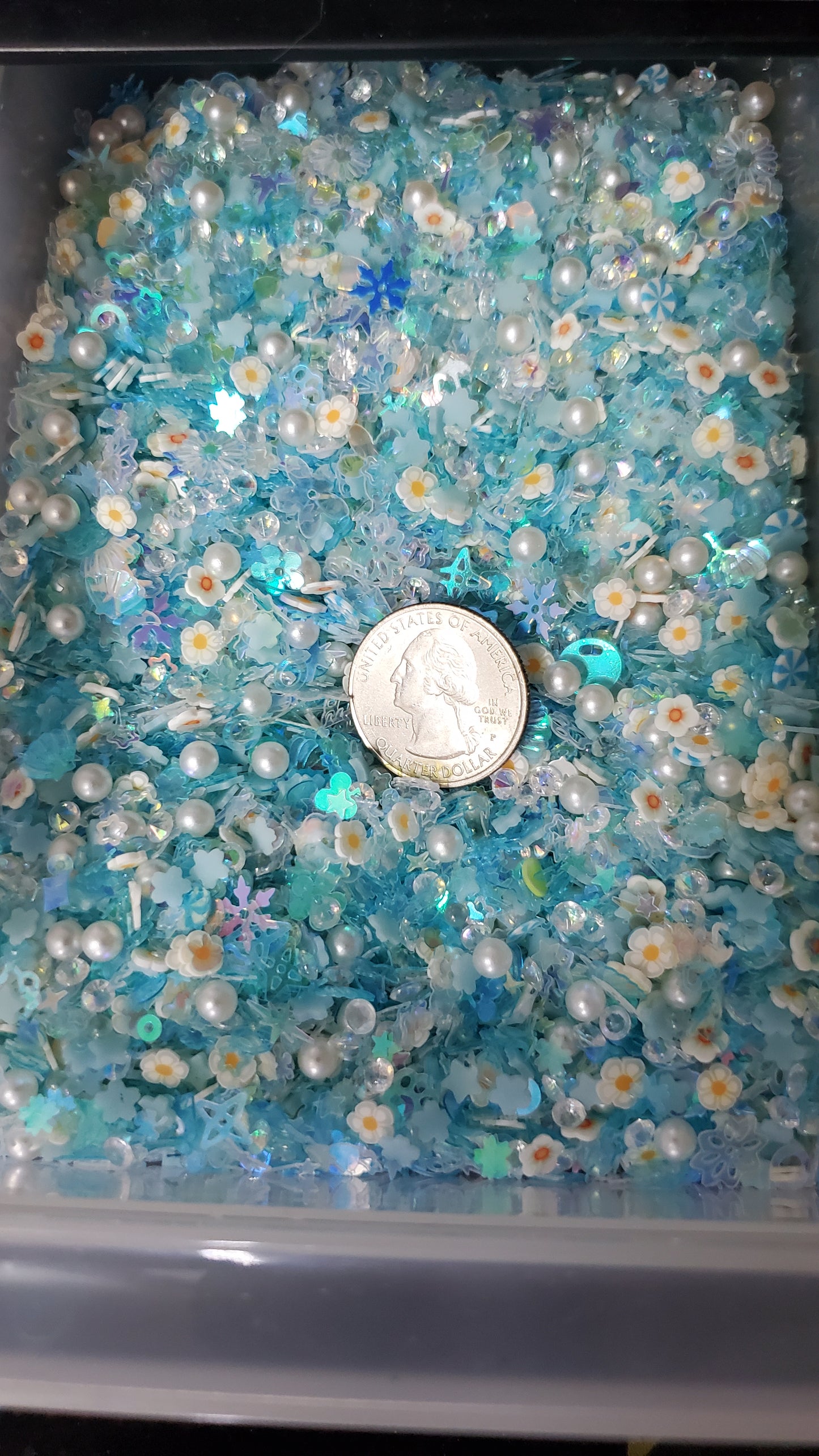 Inclusions Mixtures (6 Options)