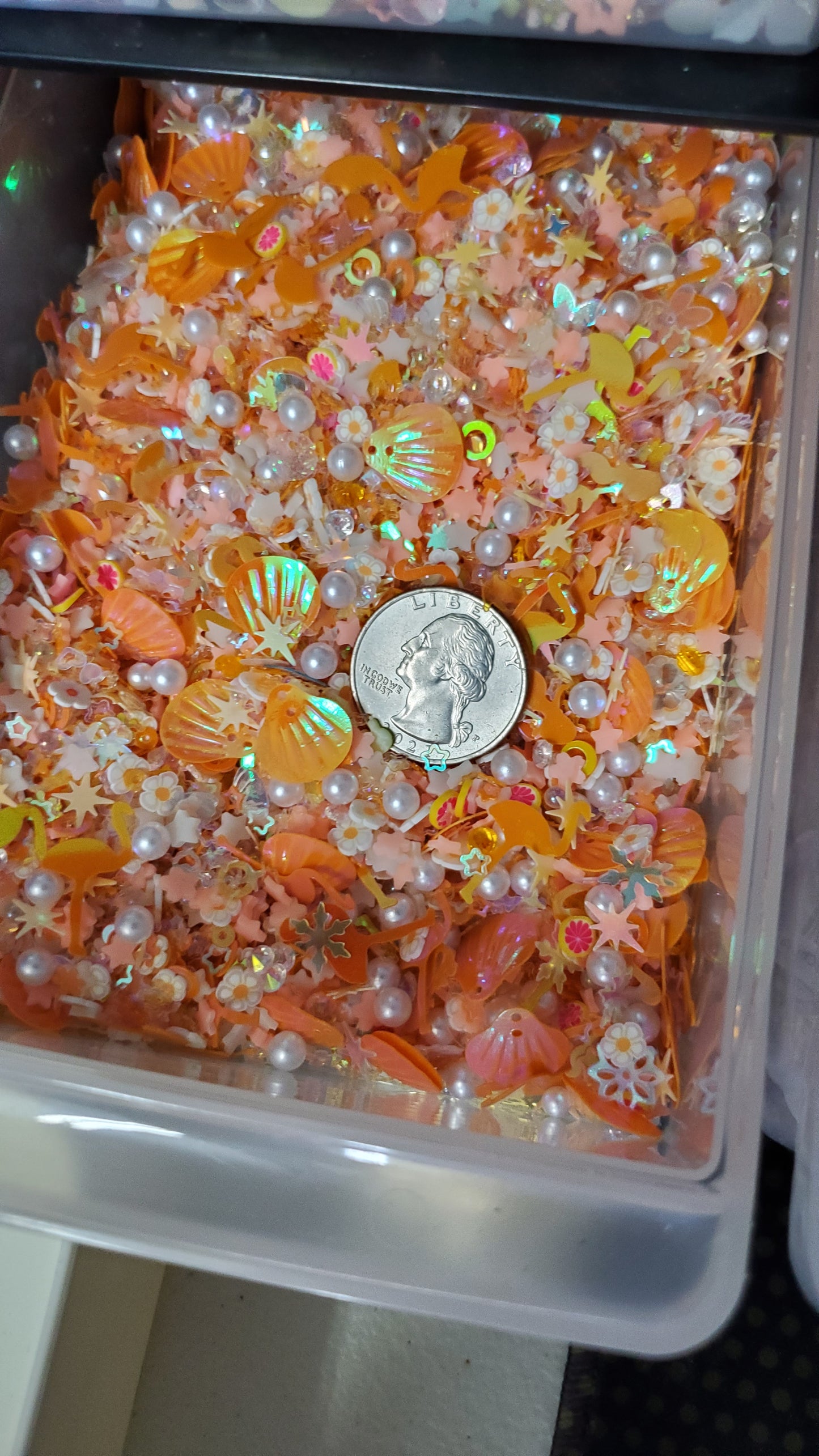 Inclusions Mixtures (6 Options)