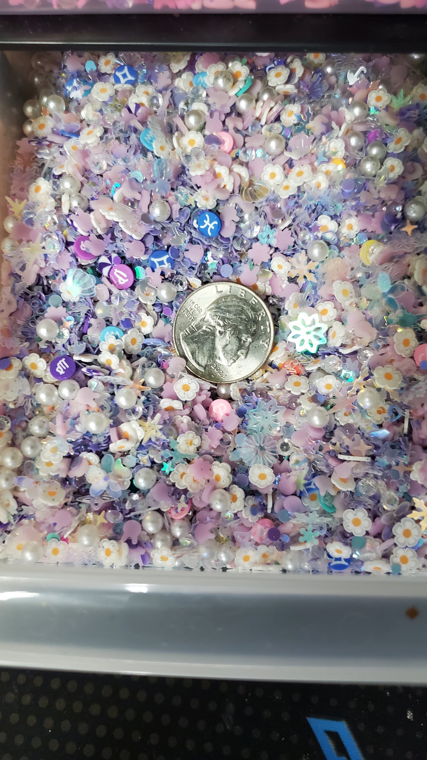Inclusions Mixtures (6 Options)