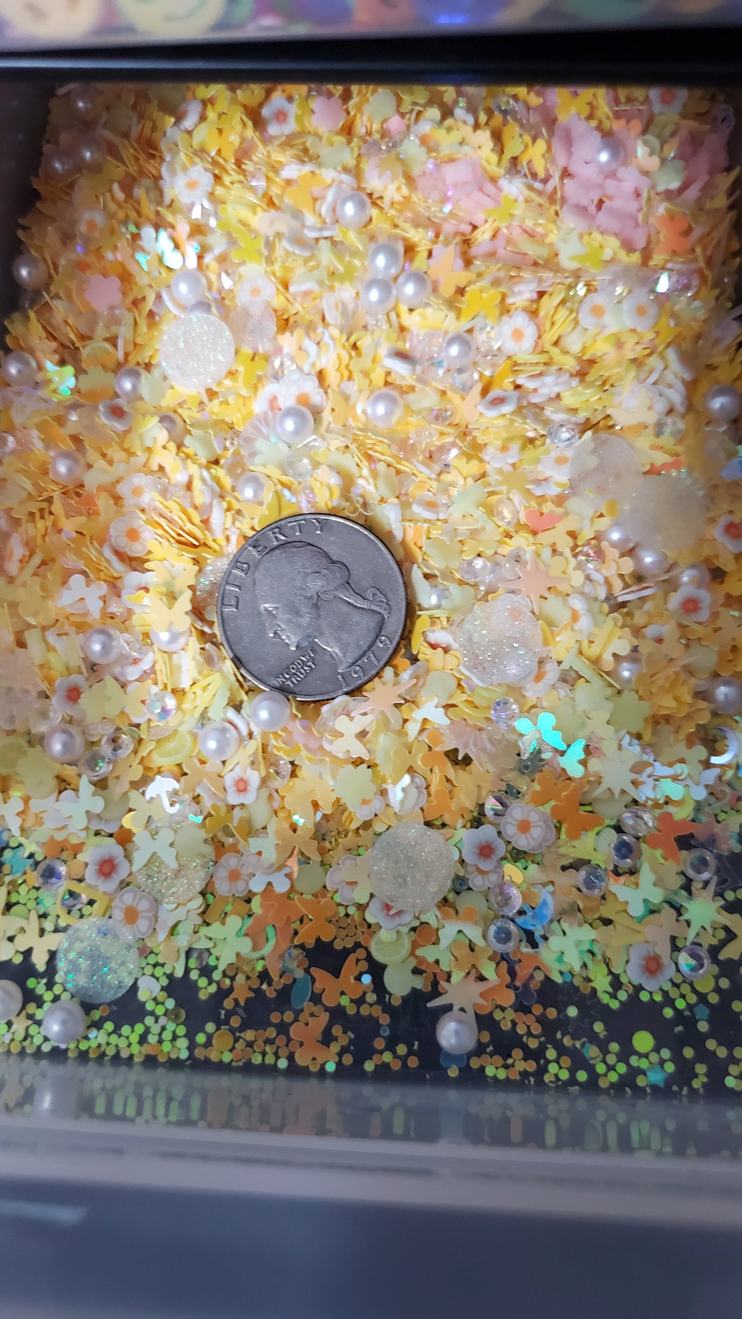 Inclusions Mixtures (6 Options)