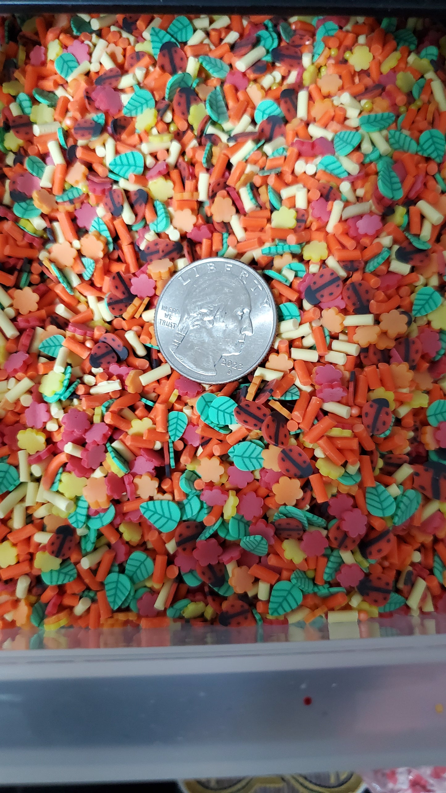 Insect Clay Slices